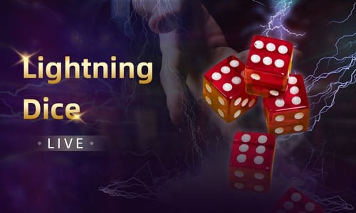 mtt5